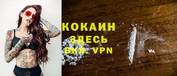 кокс Богородицк