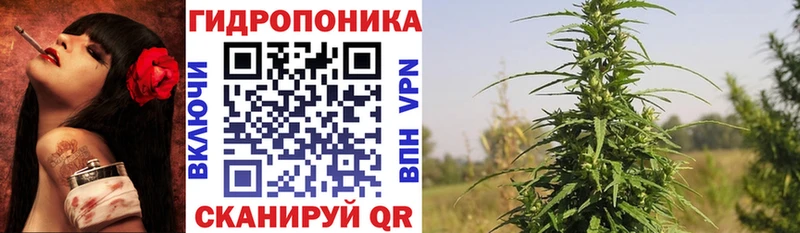 Канабис сатива  Моршанск 